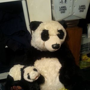 Meet your Posher, Jim